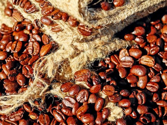 A Closer Look at the Diverse Origins of Your Favorite Coffee Beans