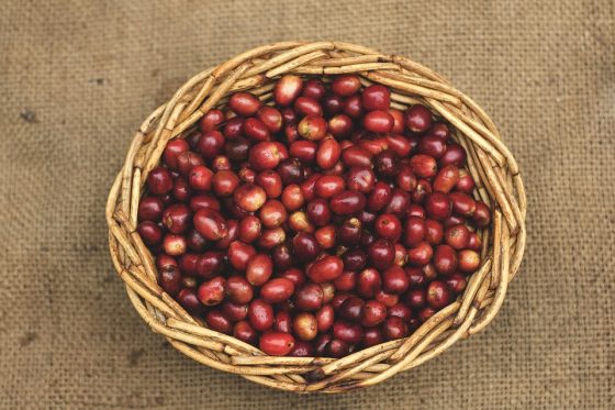 Coffee Beans 101: A Breakdown of Different Origins and Tastes