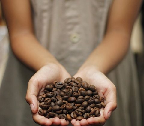 Discovering the Terroir of Coffee: How Origin Impacts Flavor