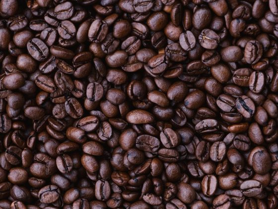 Exploring the Coffee Trail: A Taste of Adventure in Every Cup