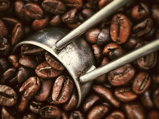 Exploring the Influence of Climate and Geography on Coffee Bean Origins