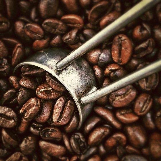 Exploring the Influence of Climate and Geography on Coffee Bean Origins