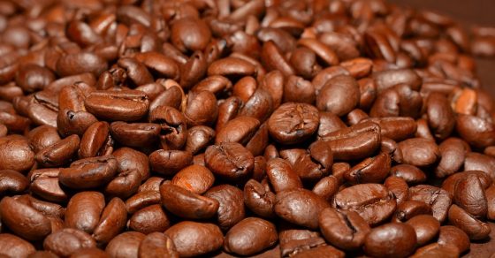 Exploring the Rich Flavors of Coffee Beans from Around the World