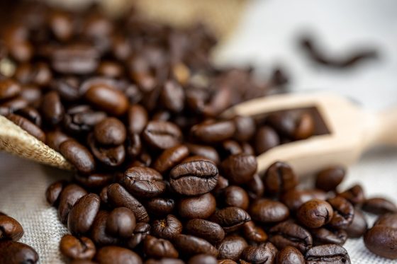 Exploring the World of Rare and Exotic Coffee Beans