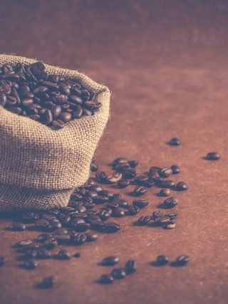 From Ethiopia to Your Mug: Tracing the Origins of Coffee Beans