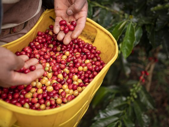 Stay Caffeinated on-the-Go with Starbucks Coffee Travelers