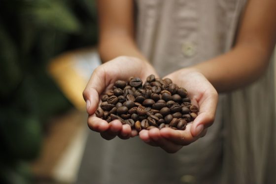 The Fascinating Journey of Coffee Beans from Farm to Cup