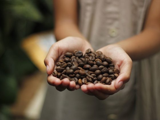 The Fascinating Journey of Coffee Beans from Farm to Cup