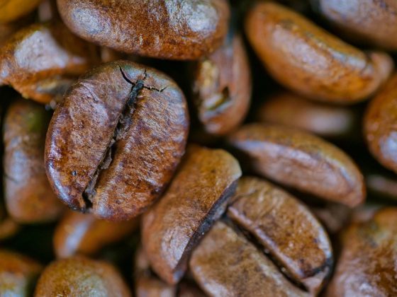 The Importance of Sustainable Practices in Coffee Bean Origins