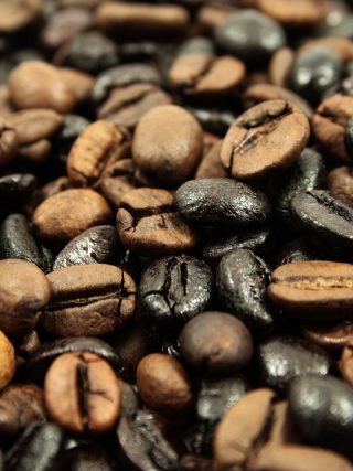 The Ultimate Coffee Lover's Paradise: Inside the Trendiest Coffee Lifestyle Store